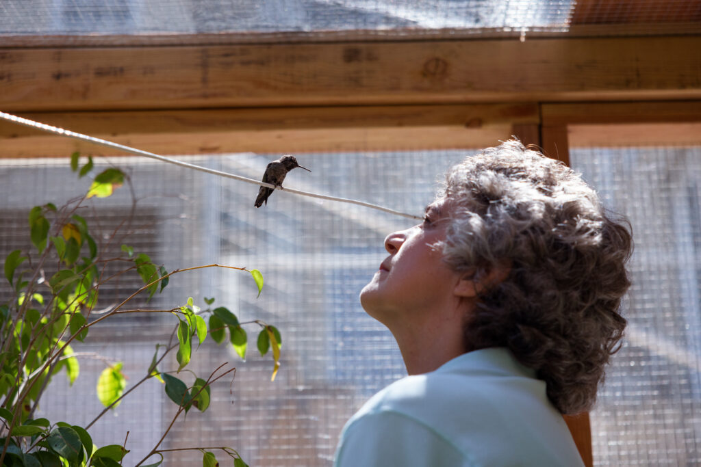 person looking at a small bird